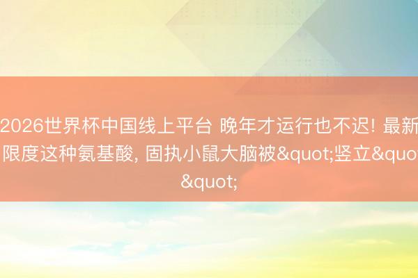 2026世界杯中国线上平台 晚年才运行也不迟! 最新: 限度这种氨基酸, 固执小鼠大脑被"竖立"