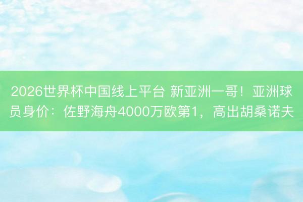 2026世界杯中国线上平台 新亚洲一哥！亚洲球员身价：佐野海舟4000万欧第1，高出胡桑诺夫