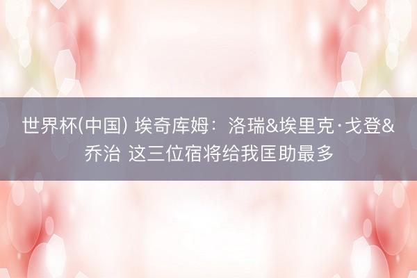 世界杯(中国) 埃奇库姆：洛瑞&埃里克·戈登&乔治 这三位宿将给我匡助最多