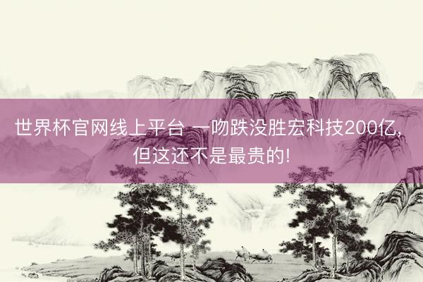 世界杯官网线上平台 一吻跌没胜宏科技200亿， 但这还不是最贵的!