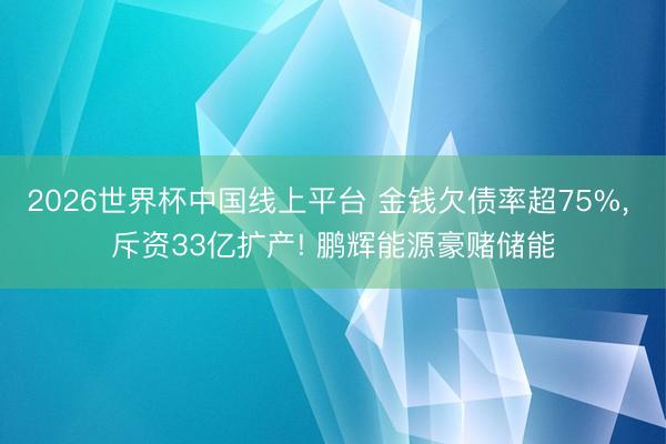 2026世界杯中国线上平台 金钱欠债率超75%， 斥资33亿扩产! 鹏辉能源豪赌储能