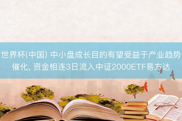 世界杯(中国) 中小盘成长目的有望受益于产业趋势催化, 资金相连3日流入中证2000ETF易方达
