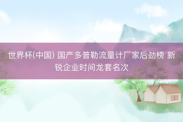 世界杯(中国) 国产多普勒流量计厂家后劲榜 新锐企业时间龙套名次