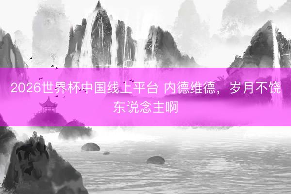 2026世界杯中国线上平台 内德维德，<a href=