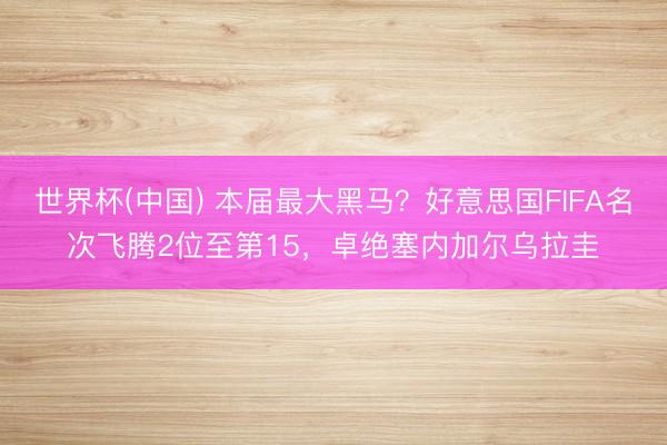 世界杯(中国) 本届最大黑马？好意思国FIFA名次飞腾2位至第15，卓绝塞内加尔乌拉圭