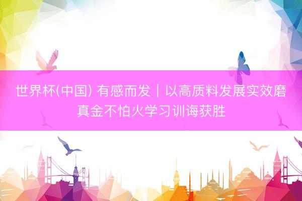 世界杯(中国) 有感而发|以高质料发展实效磨真金不怕火学习训诲获胜