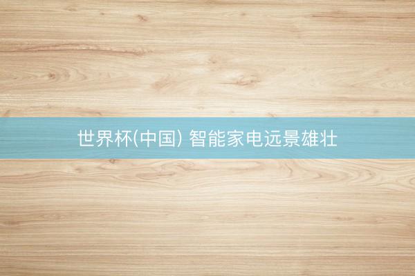 世界杯(中国) 智能家电远景雄壮