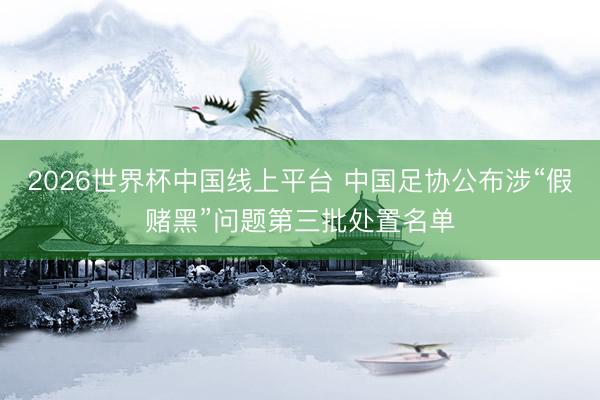 2026世界杯中国线上平台 中国足协公布涉“假赌黑”问题第三批处置名单