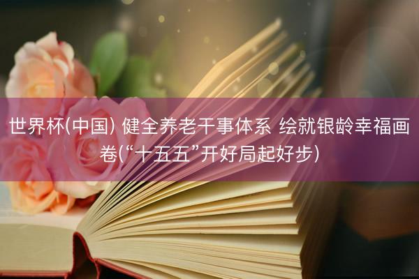 世界杯(中国) 健全养老干事体系 绘就银龄幸福画卷(“十五五”开好局起好步)