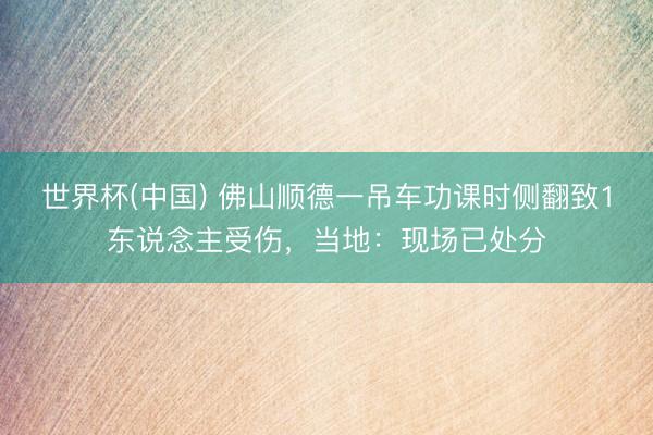 世界杯(中国) 佛山顺德一吊车功课时侧翻致1东说念主受伤，当地：现场已处分