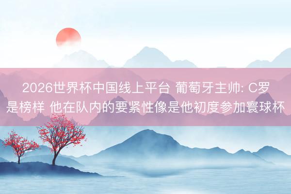 2026世界杯中国线上平台 葡萄牙主帅: C罗是榜样 他在队内的要紧性像是他初度参加寰球杯